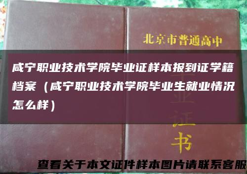 咸宁职业技术学院毕业证样本报到证学籍档案（咸宁职业技术学院毕业生就业情况怎么样）缩略图