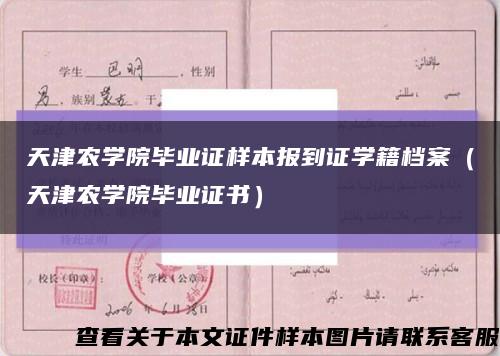 天津农学院毕业证样本报到证学籍档案（天津农学院毕业证书）缩略图