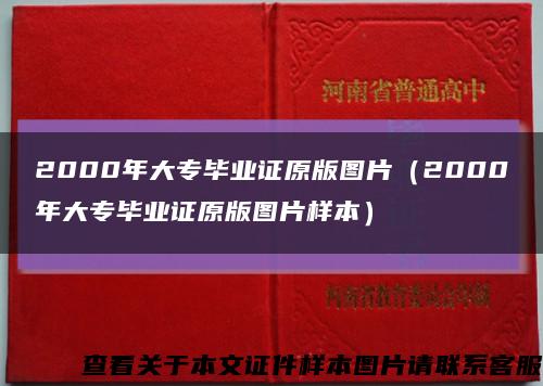 2000年大专毕业证原版图片（2000年大专毕业证原版图片样本）缩略图