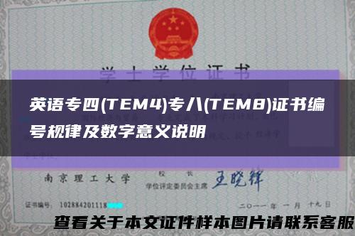 英语专四(TEM4)专八(TEM8)证书编号规律及数字意义说明缩略图