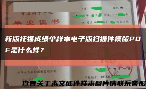 新版托福成绩单样本电子版扫描件模版PDF是什么样？缩略图