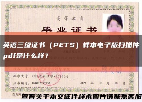 英语三级证书（PETS）样本电子版扫描件pdf是什么样？缩略图