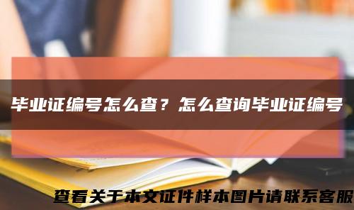 毕业证编号怎么查？怎么查询毕业证编号缩略图