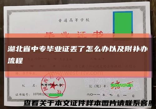 湖北省中专毕业证丢了怎么办以及附补办流程缩略图