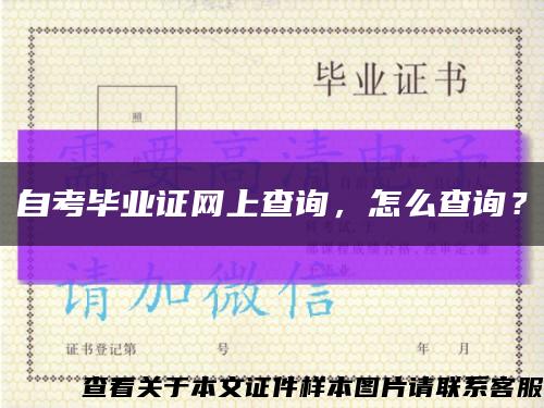 自考毕业证网上查询，怎么查询？缩略图