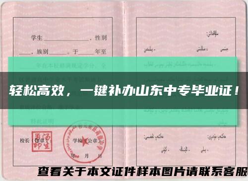 轻松高效，一键补办山东中专毕业证！缩略图