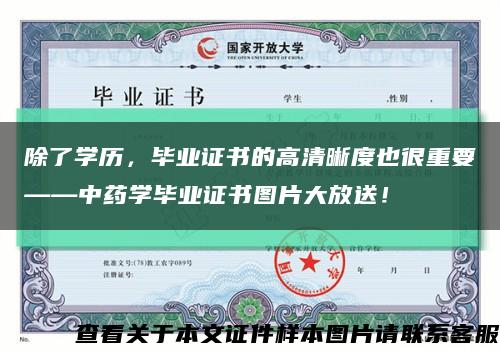 除了学历，毕业证书的高清晰度也很重要——中药学毕业证书图片大放送！缩略图