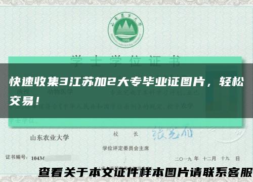 快速收集3江苏加2大专毕业证图片，轻松交易！缩略图