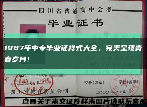 1987年中专毕业证样式大全，完美呈现青春岁月！缩略图