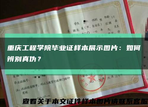 重庆工程学院毕业证样本展示图片：如何辨别真伪？缩略图