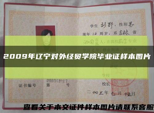 2009年辽宁对外经贸学院毕业证样本图片缩略图