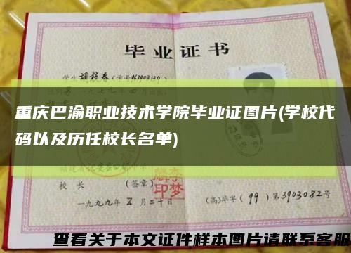 重庆巴渝职业技术学院毕业证图片(学校代码以及历任校长名单)缩略图