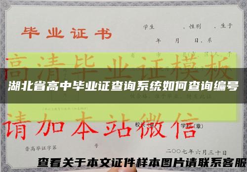湖北省高中毕业证查询系统如何查询编号缩略图