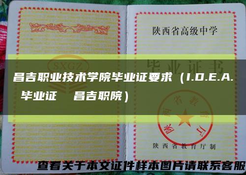 昌吉职业技术学院毕业证要求（I.D.E.A. 毕业证  昌吉职院）缩略图