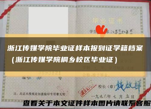 浙江传媒学院毕业证样本报到证学籍档案（浙江传媒学院桐乡校区毕业证）缩略图