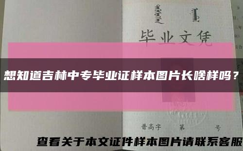 想知道吉林中专毕业证样本图片长啥样吗？缩略图