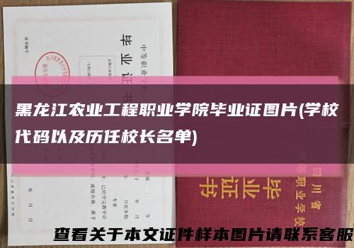 黑龙江农业工程职业学院毕业证图片(学校代码以及历任校长名单)缩略图