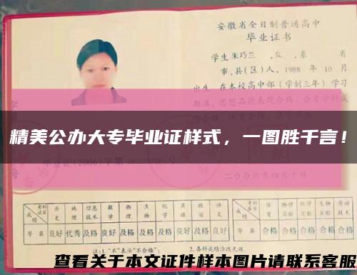 精美公办大专毕业证样式，一图胜千言！缩略图