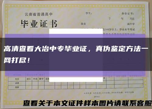 高清查看大冶中专毕业证，真伪鉴定方法一网打尽！缩略图