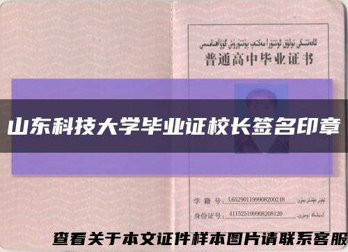 山东科技大学毕业证校长签名印章缩略图