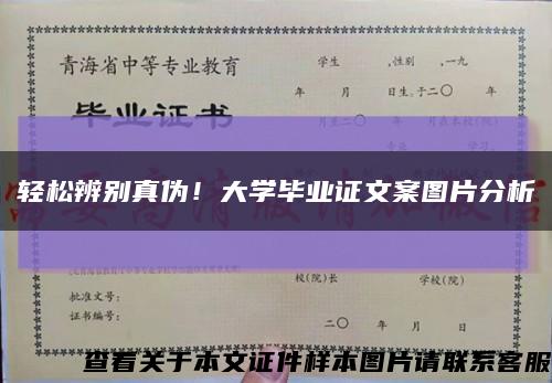 轻松辨别真伪！大学毕业证文案图片分析缩略图