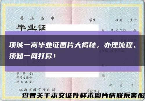 项城一高毕业证图片大揭秘，办理流程、须知一网打尽！缩略图