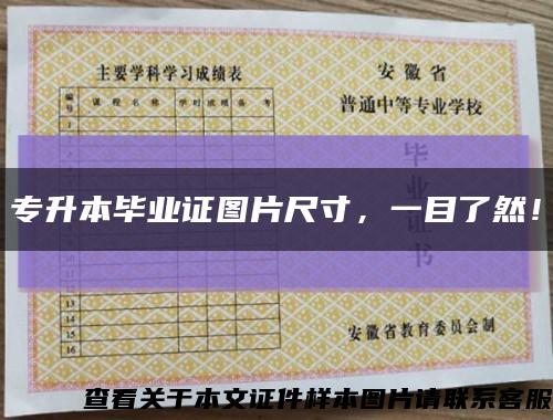 专升本毕业证图片尺寸，一目了然！缩略图