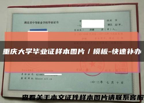 重庆大学毕业证样本图片／模板-快速补办缩略图
