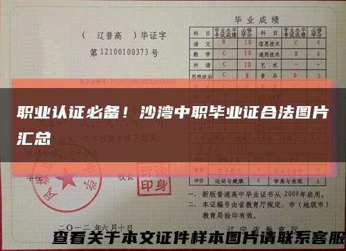 职业认证必备！沙湾中职毕业证合法图片汇总缩略图