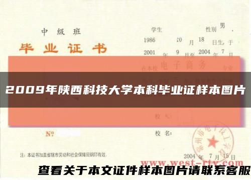 2009年陕西科技大学本科毕业证样本图片缩略图