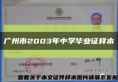 广州市2003年中学毕业证样本缩略图