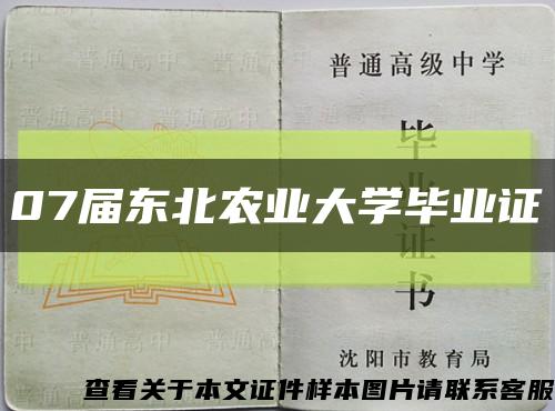 07届东北农业大学毕业证缩略图