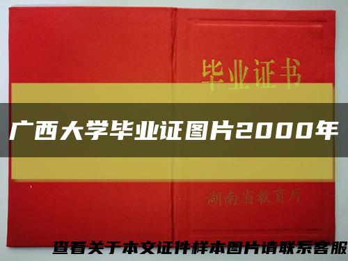 广西大学毕业证图片2000年缩略图