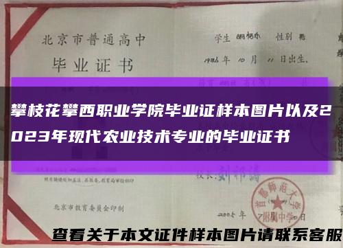 攀枝花攀西职业学院毕业证样本图片以及2023年现代农业技术专业的毕业证书缩略图