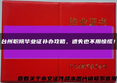 台州职院毕业证补办攻略，遗失也不用惊慌！缩略图