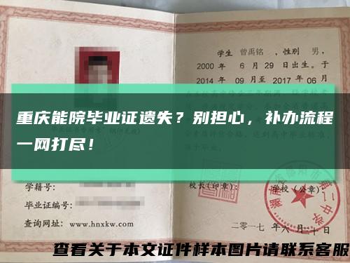 重庆能院毕业证遗失？别担心，补办流程一网打尽！缩略图