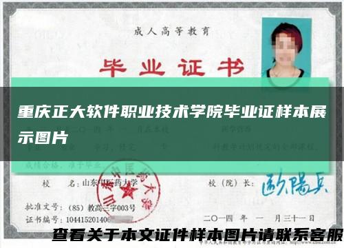 重庆正大软件职业技术学院毕业证样本展示图片缩略图