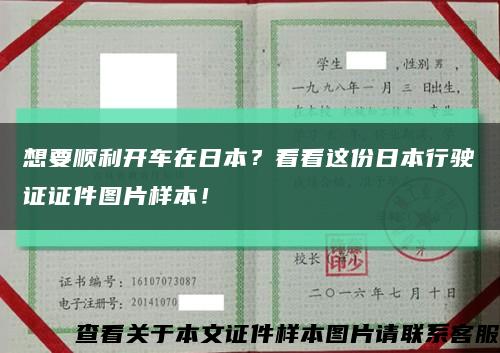 想要顺利开车在日本？看看这份日本行驶证证件图片样本！缩略图