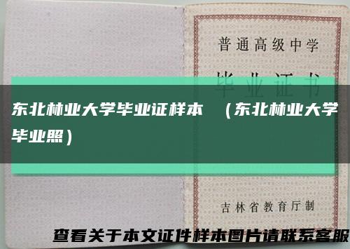东北林业大学毕业证样本 （东北林业大学毕业照）缩略图