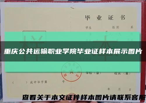 重庆公共运输职业学院毕业证样本展示图片缩略图