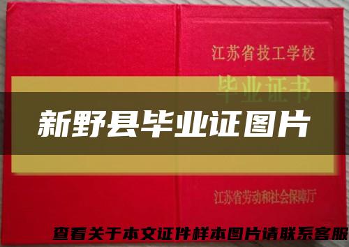 新野县毕业证图片缩略图