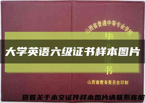 大学英语六级证书样本图片缩略图