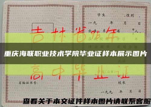重庆海联职业技术学院毕业证样本展示图片缩略图