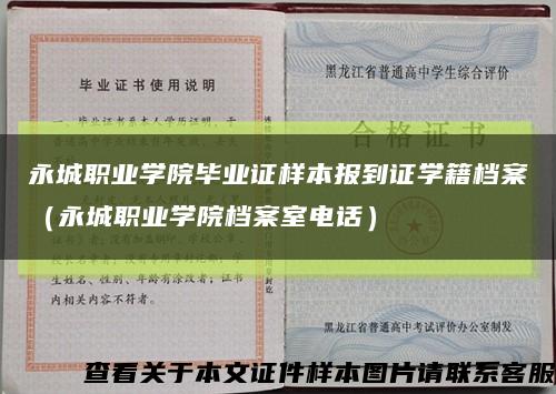 永城职业学院毕业证样本报到证学籍档案（永城职业学院档案室电话）缩略图