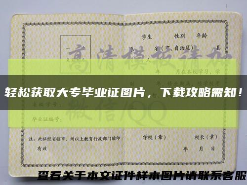 轻松获取大专毕业证图片，下载攻略需知！缩略图