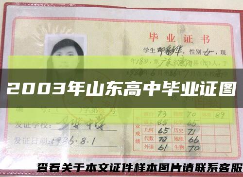 2003年山东高中毕业证图缩略图
