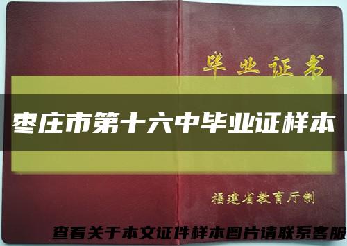 枣庄市第十六中毕业证样本缩略图