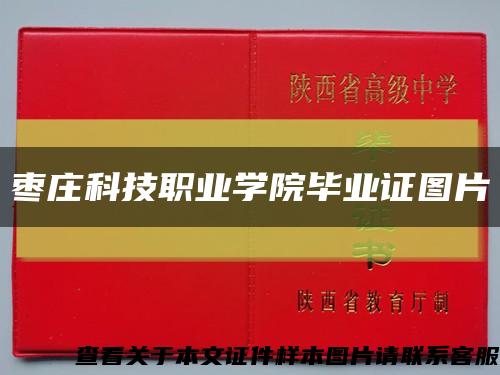 枣庄科技职业学院毕业证图片缩略图
