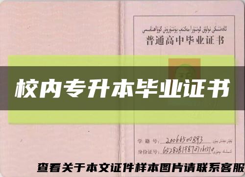 校内专升本毕业证书缩略图