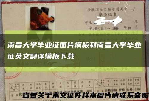 南昌大学毕业证图片模板和南昌大学毕业证英文翻译模板下载缩略图